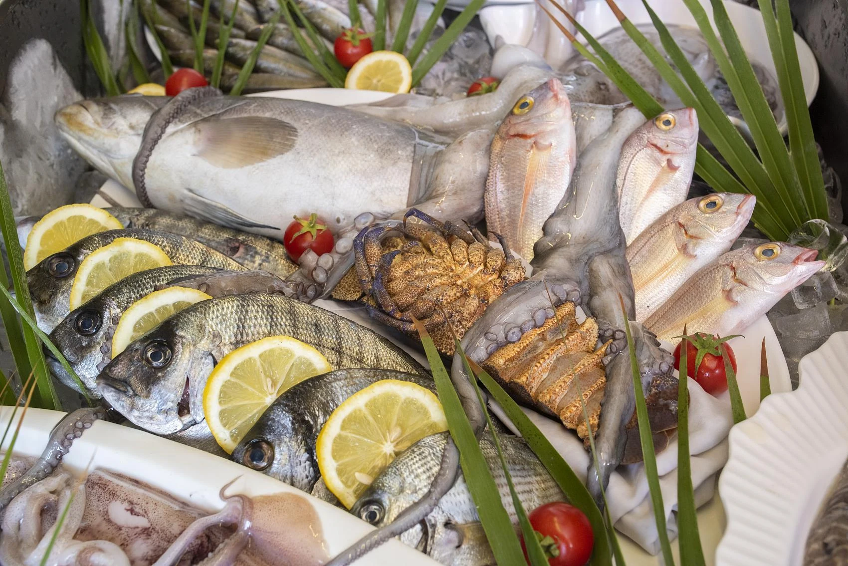 Customer perspective on an aquatic products processing solution