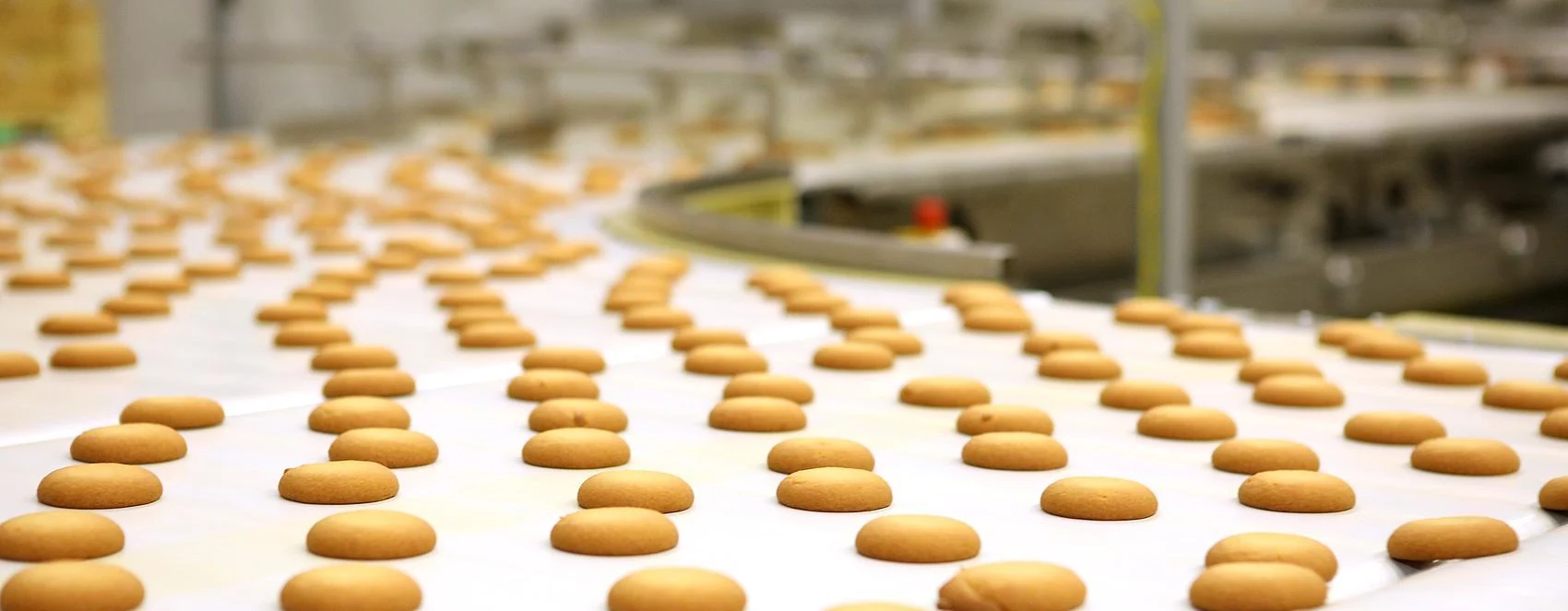 Boruimei food processing production showcase 3