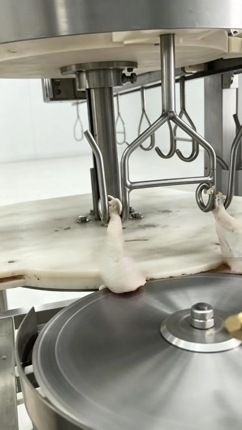 Whole Chicken Leg Separator